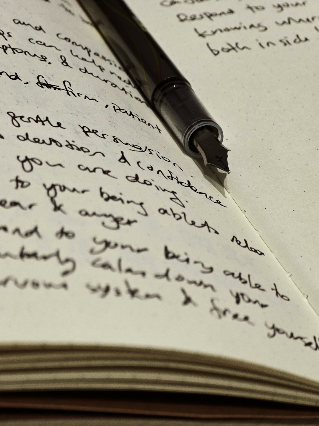 Una penna stilografica appoggiata su un taccuino aperto pieno di scrittura corsiva.