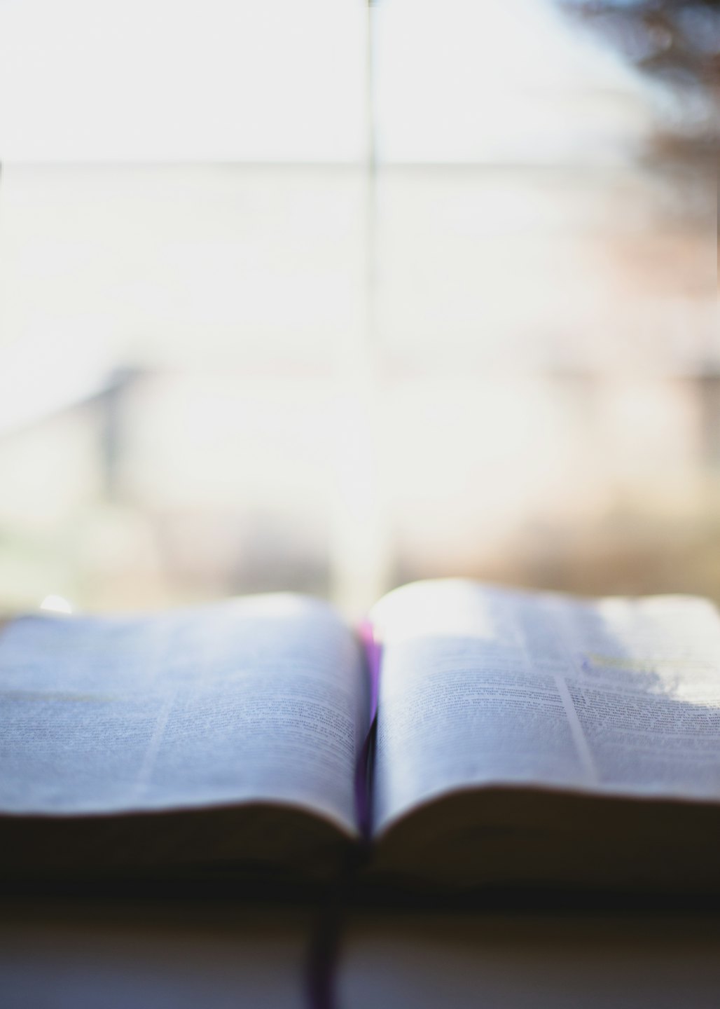 Libro aperto immerso in una morbida luce naturale proveniente da una finestra.